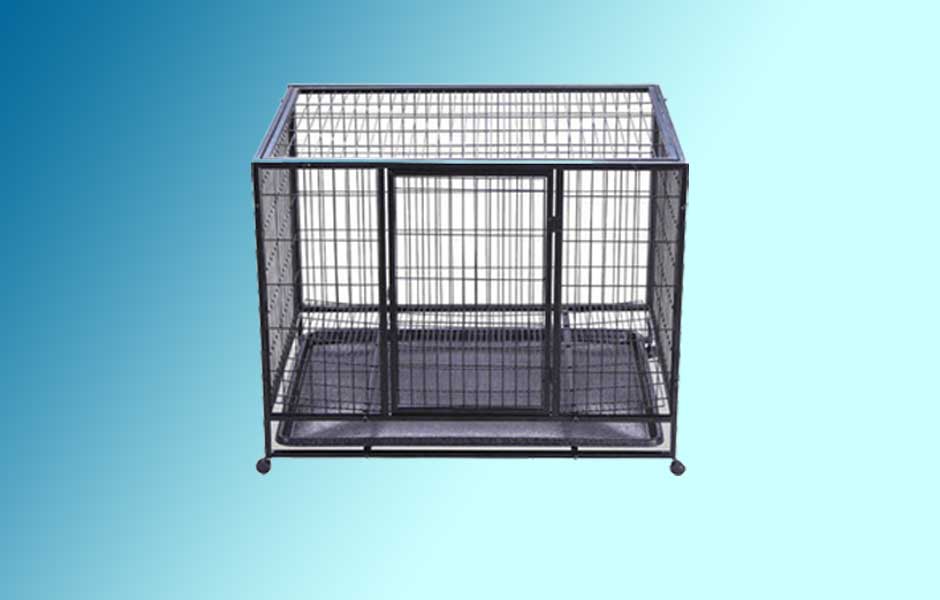 How Do I Know What Size Crate To Get For My Dog
