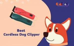 Best Cordless Dog Clipper