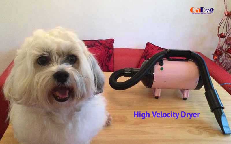 best high velocity dog grooming dryers
