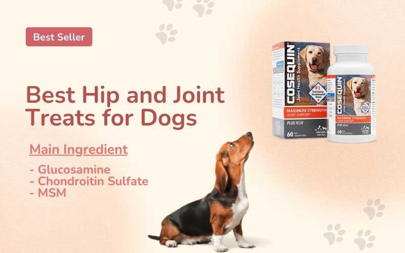 What Is the Best Hip and Joint Treats For Dogs