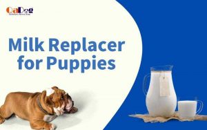 Commercial Canine Milk Replacer for Puppies