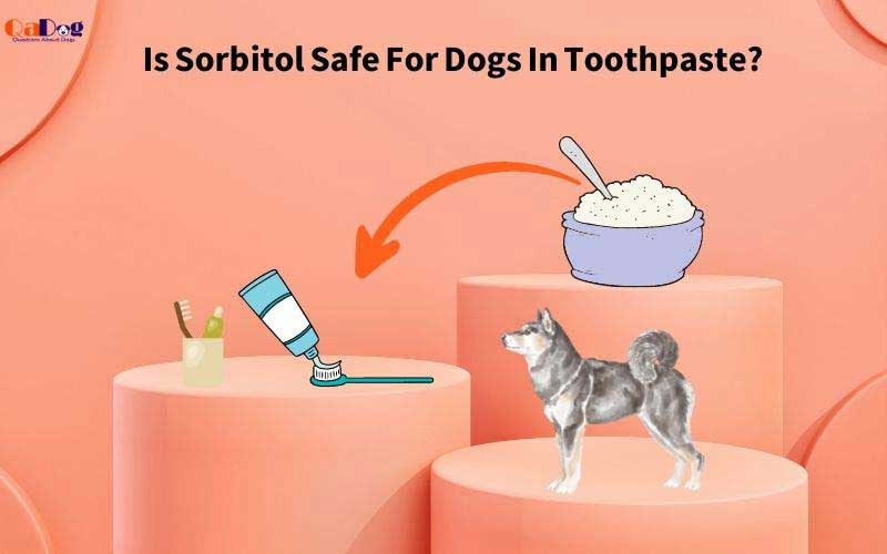 Is Sorbitol Safe For Dogs In Toothpaste