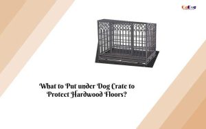 What to Put under Dog Crate to Protect Hardwood Floors