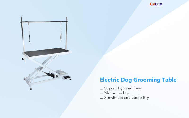Best Electric Dog Grooming Table