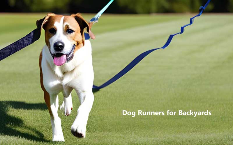 Dog Runners for Backyards