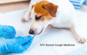 Over the Counter Kennel Cough Medicine
