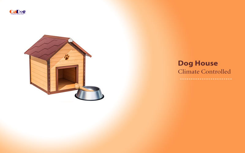 Climate Controlled Dog House