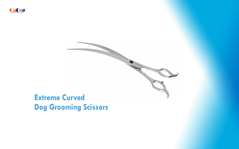 Extreme Curved Dog Grooming Scissors