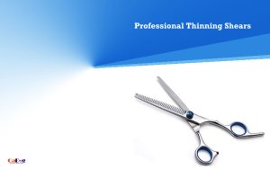 Best Professional Thinning Shears for Dogs