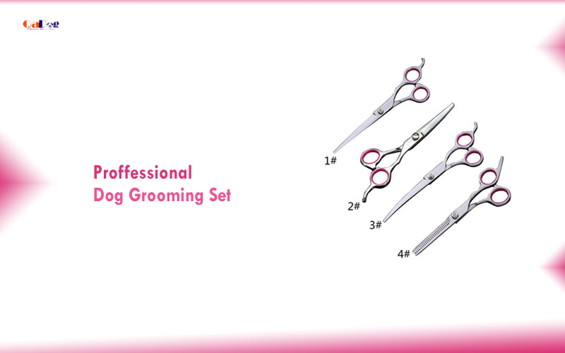 Best Professional Dog Grooming Shears Set