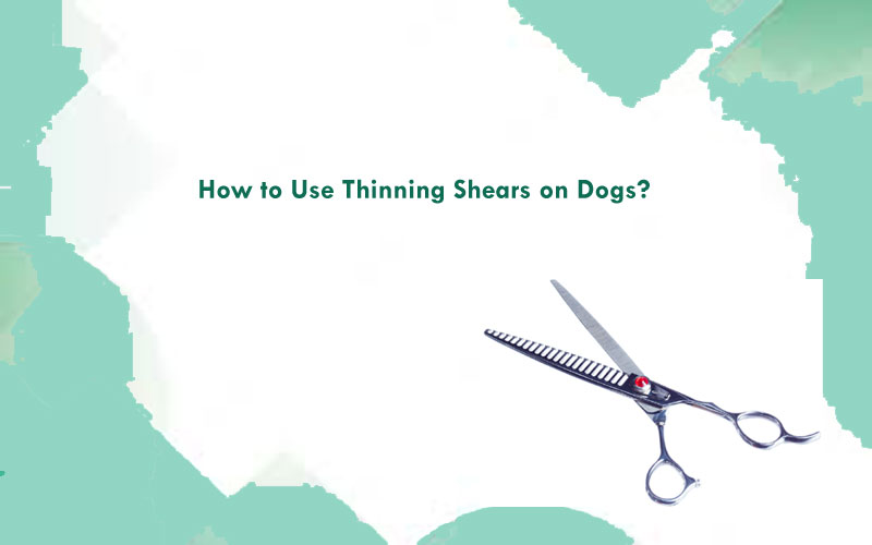 How to Use Thinning Shears on Dogs